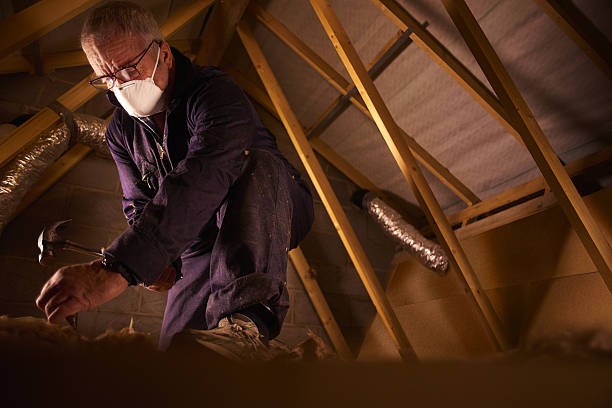Insulation Inspection Services in Ventnor City, NJ